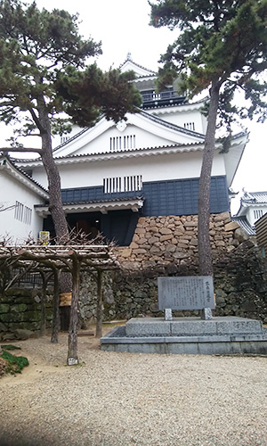 478年前にこの地で誕生した徳川家康Tokugawa Shogunate,Ieyasu was born here in Okazaki castle