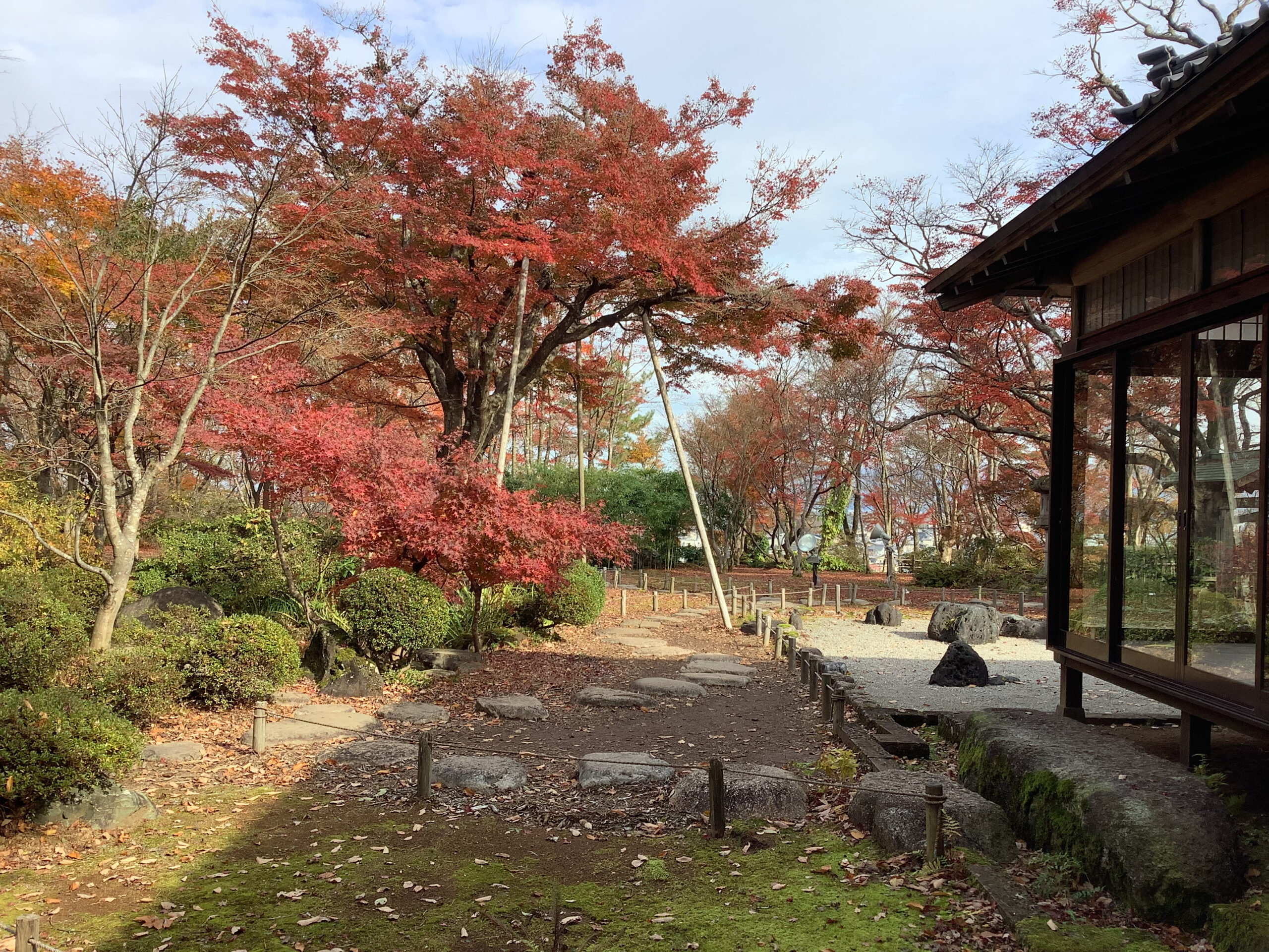 紅葉が美しい秋beautiful autumn、桜もみじ、いろはかえで・紅葉狩りin Niigata